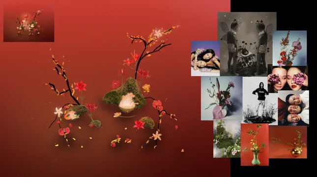 Project image