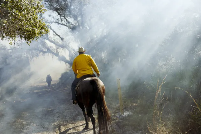 Conservation Florida (Controlled Burn)