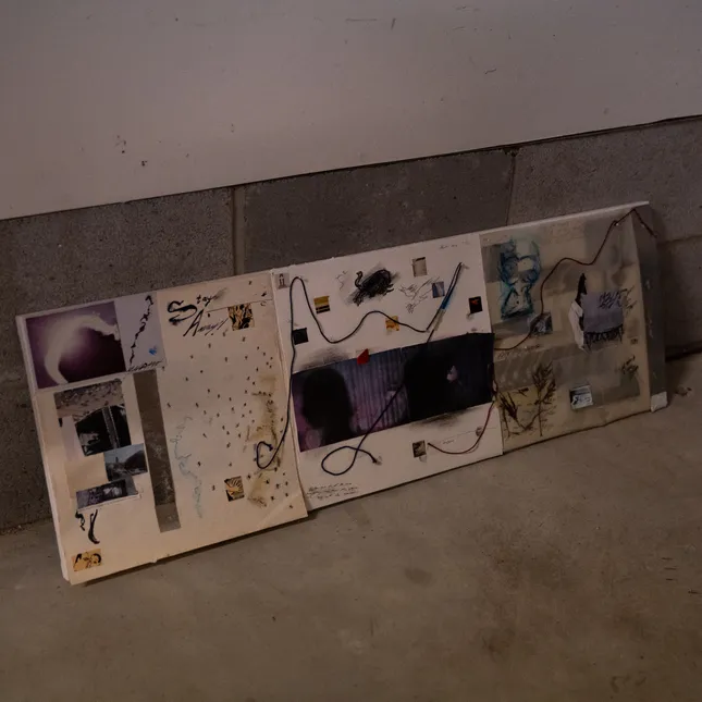 Project image