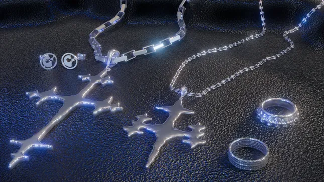 Various 3D Animations