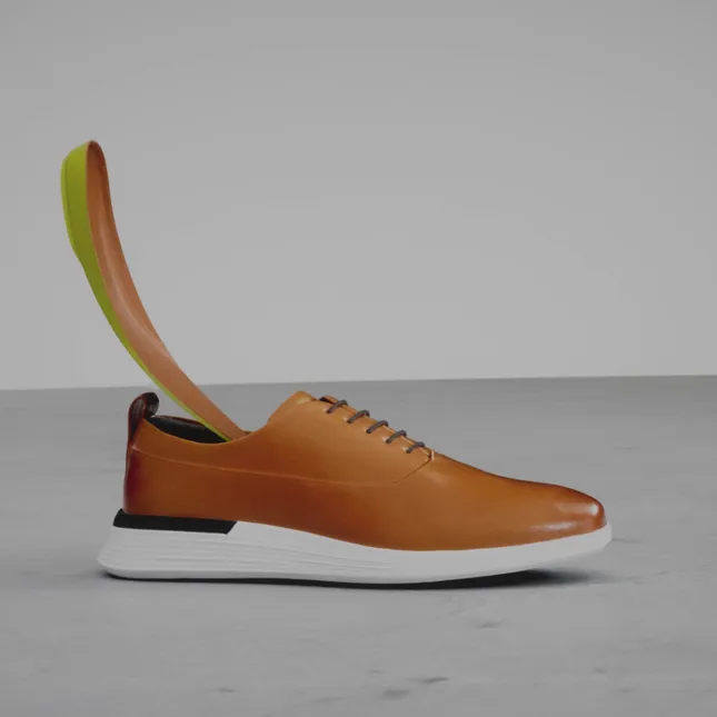 3D Dress Shoe Animation