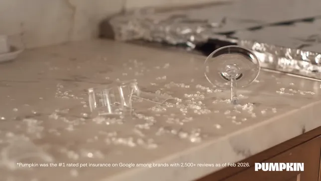 When Parenthood Takes a Sharp Turn | Pumpkin Pet Insurance