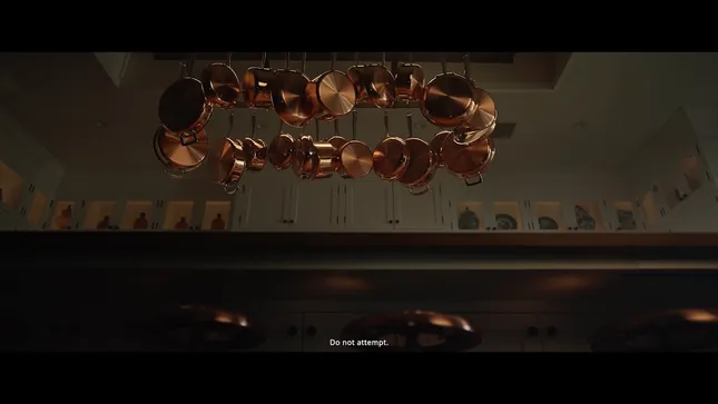 Pfizer - Martha Stewart “Got It” Campaign