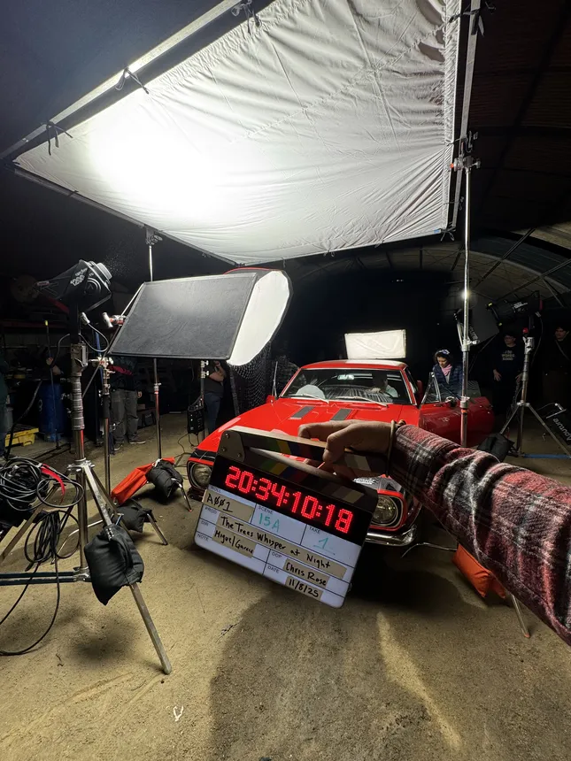 The Trees Whisper at Night