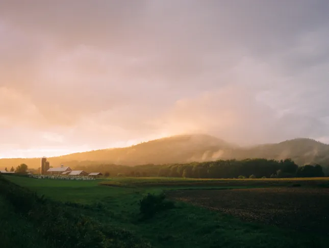 Landscape Collection