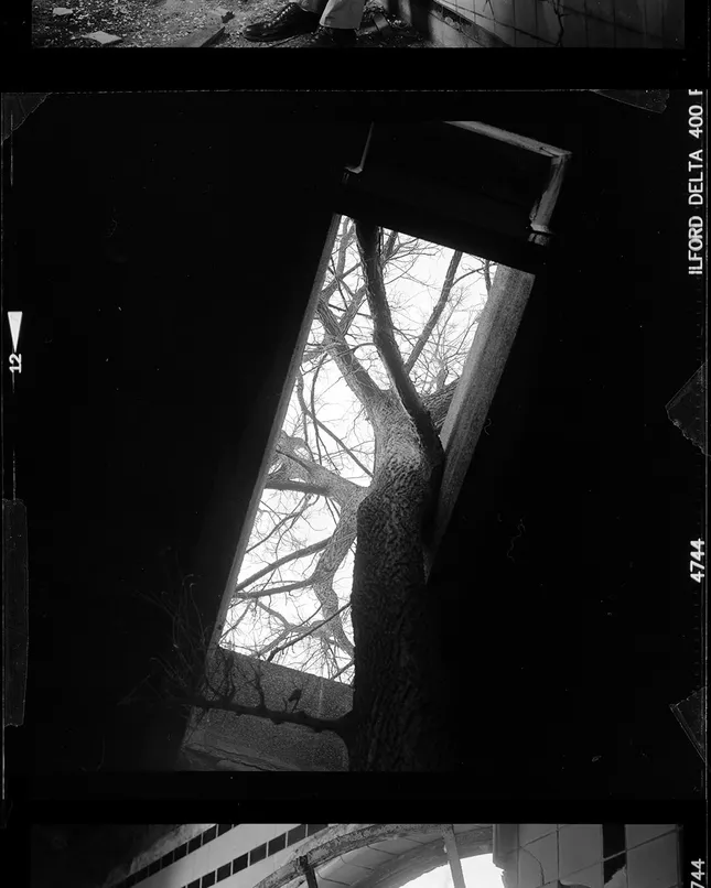 Project image