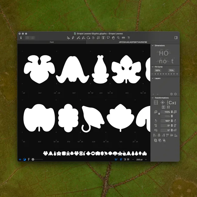 Project image