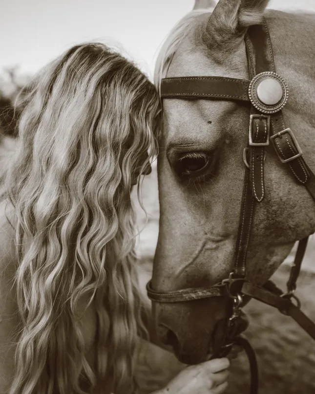 Horse Photoshoot