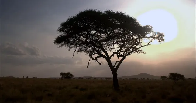 Compassion International - The Mothers of Kenya