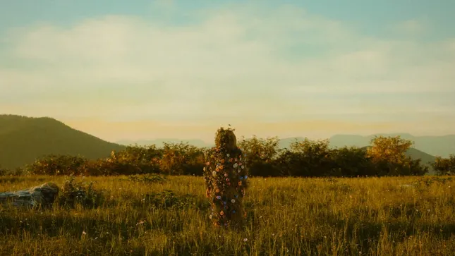 Weston Estate “SUPERBLOOM” Visuals