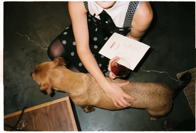 MW.S - Office Launch