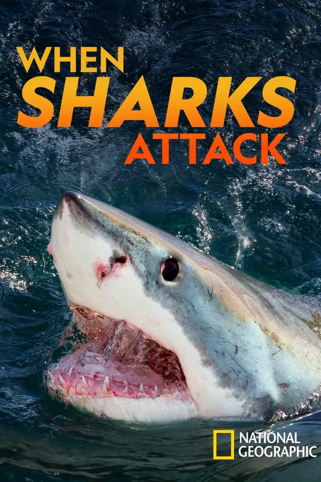 When Sharks Attack