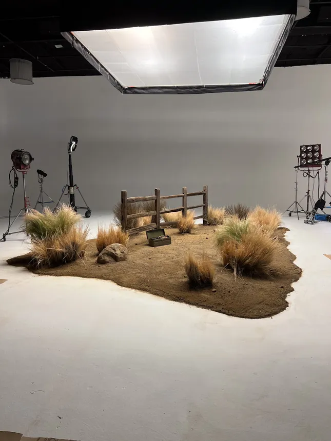 Project image