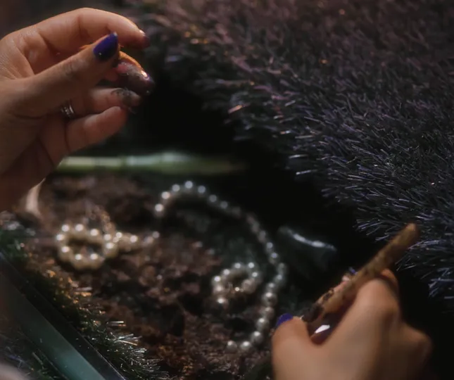 Mercy Land  — "Termites"