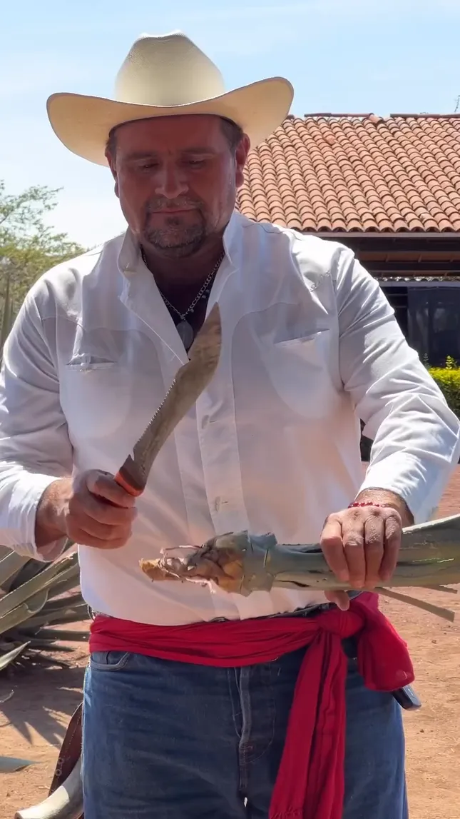 How Cuervo Tequila Is Made (BRANDED)