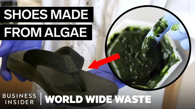 Flip-Flops Made From Plants And Algae Can Help Reduce Plastic Pollution | World