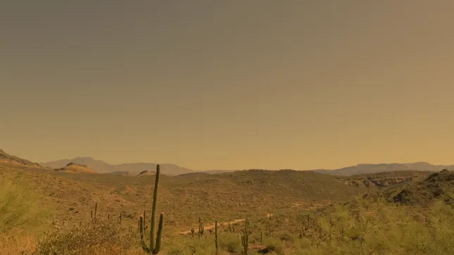 'Peter Millar Golf: Luxury Like This Comes at a Price'