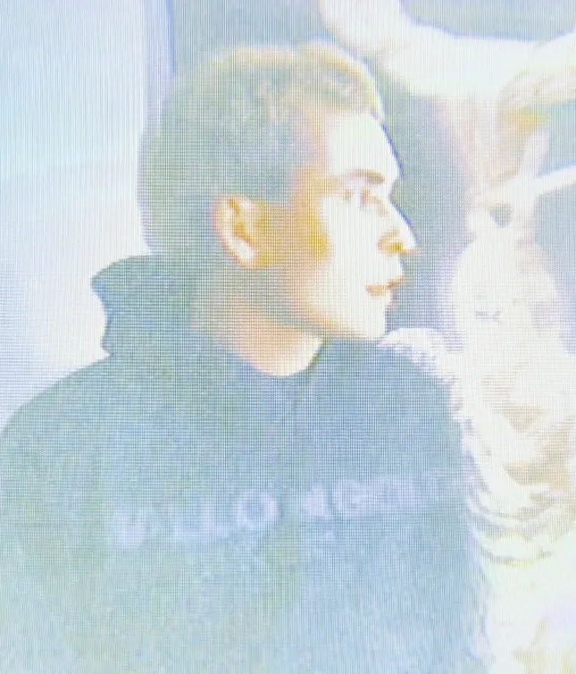Diallo/Goldie Branded Content