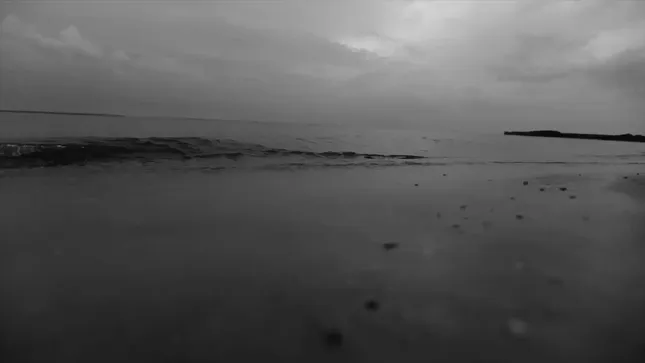 Medalla Latenightjiggy