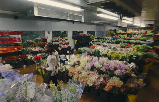 Rose’s - Welcome to Rose’s