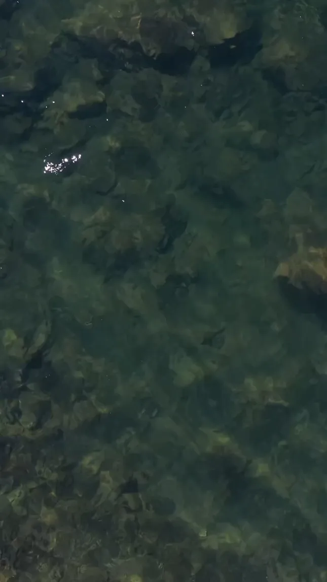 Drone Reels