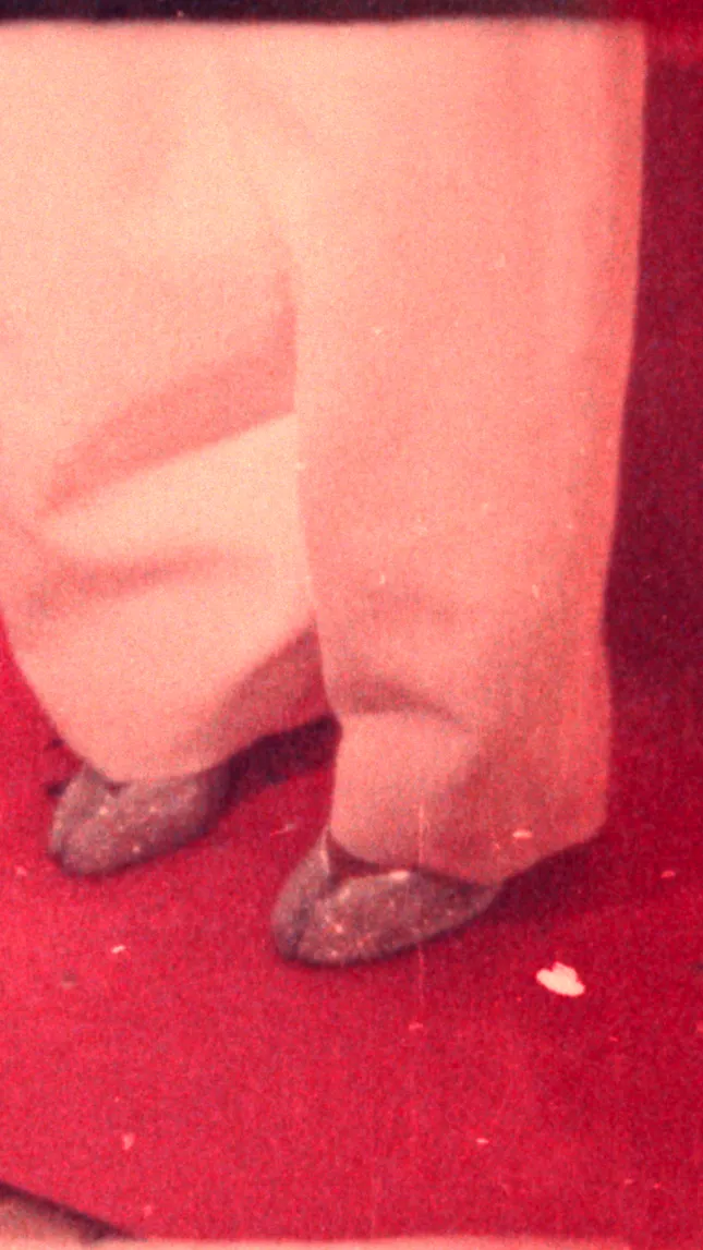 Met Gala 2025 (Snippet)