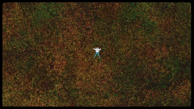 Z. Lew - Sumn In the Air