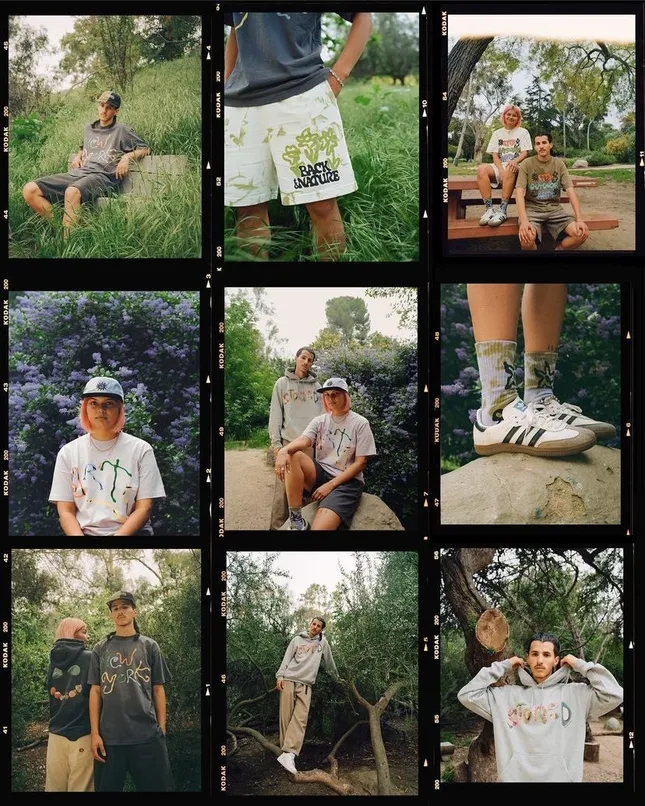 Project image