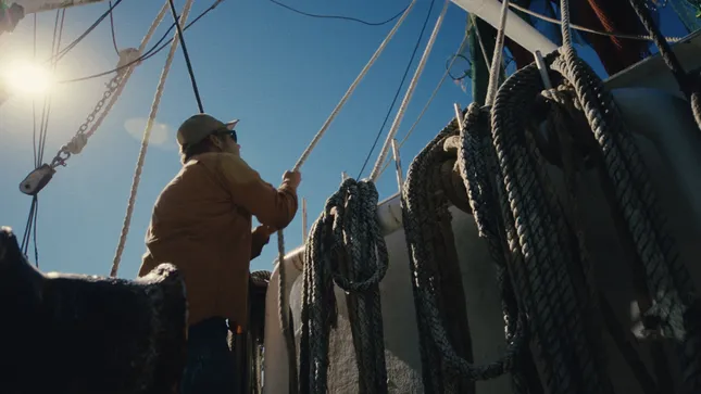 Shrimpin’ in the Gulf