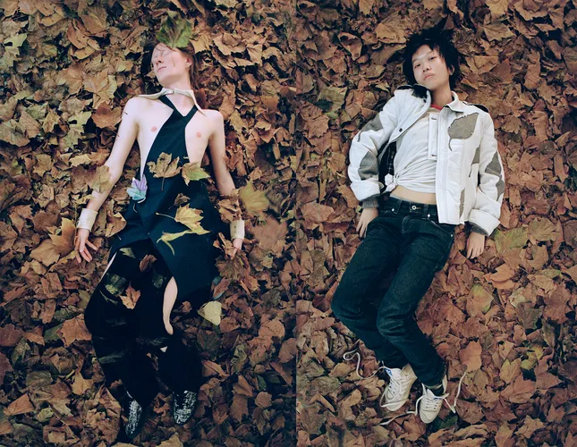 Pictures On Leaves (2024)