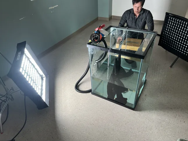 Project image
