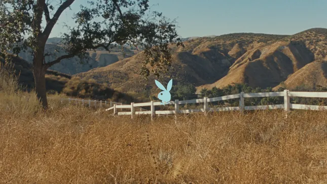 Playboy - Gillian Nation