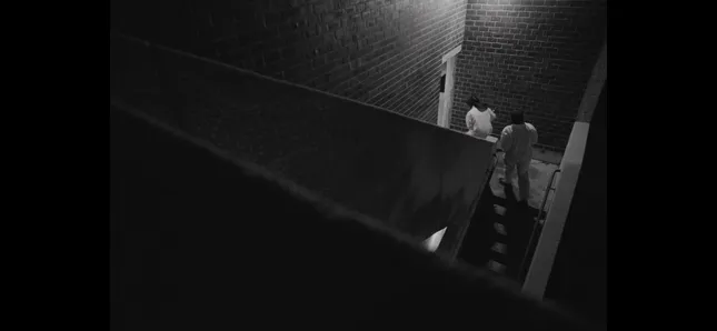 Tunnel Vision