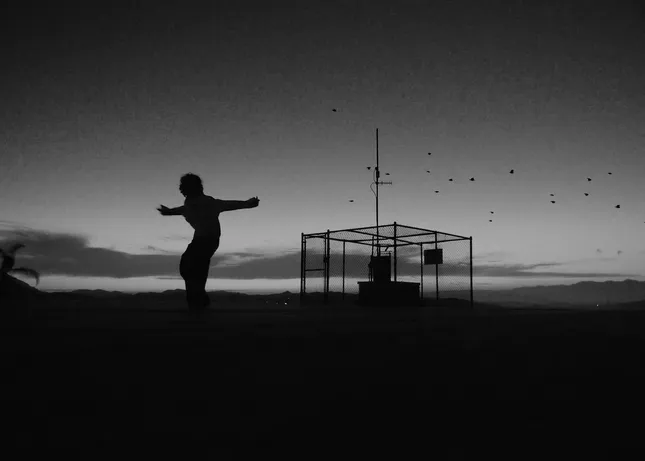 Fly - Presley Regier