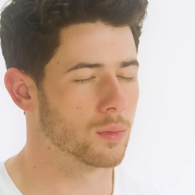 Jonas Brothers Family Roast Commercial