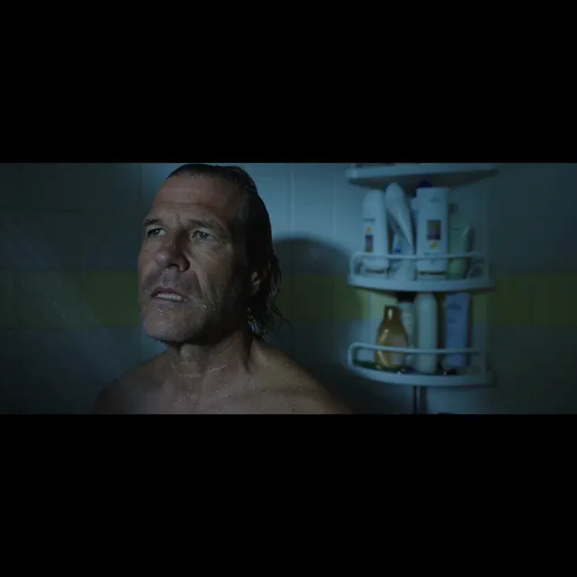Sully