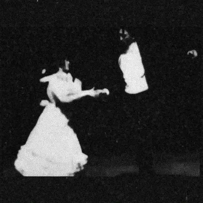 Palaye Royale Visualizer