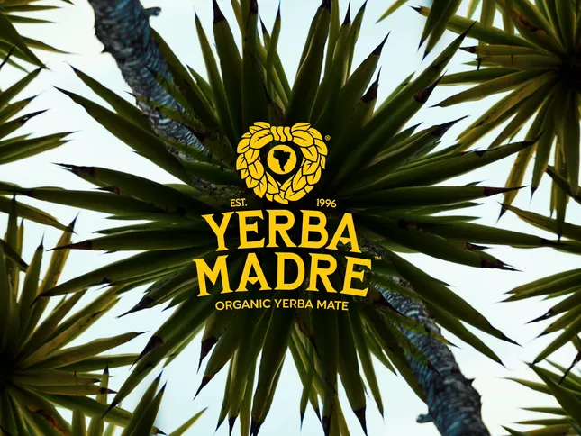 Yerba Madre Launch Event