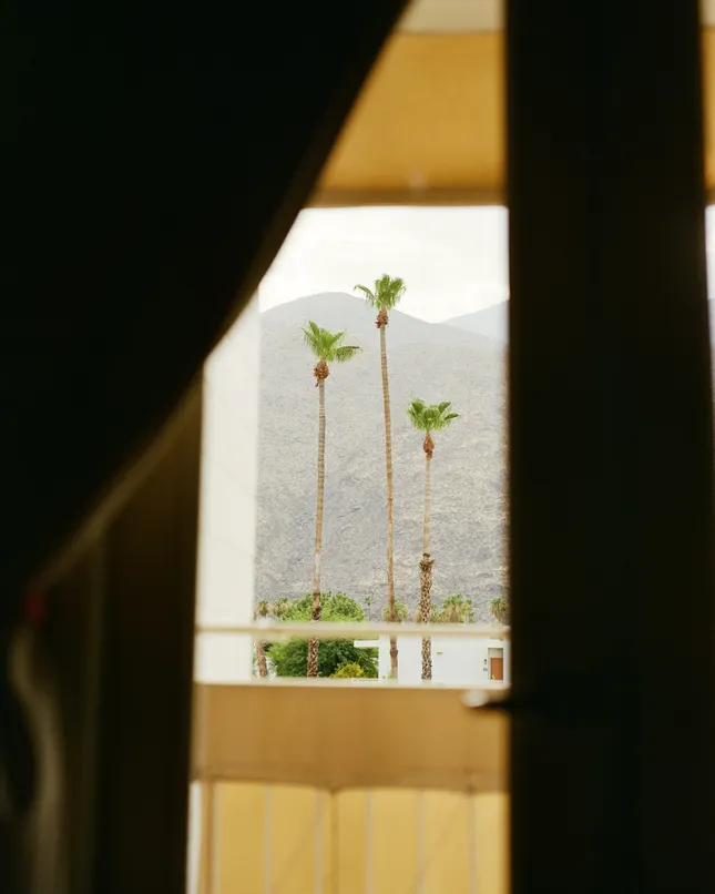 Ace Hotel Palm Springs