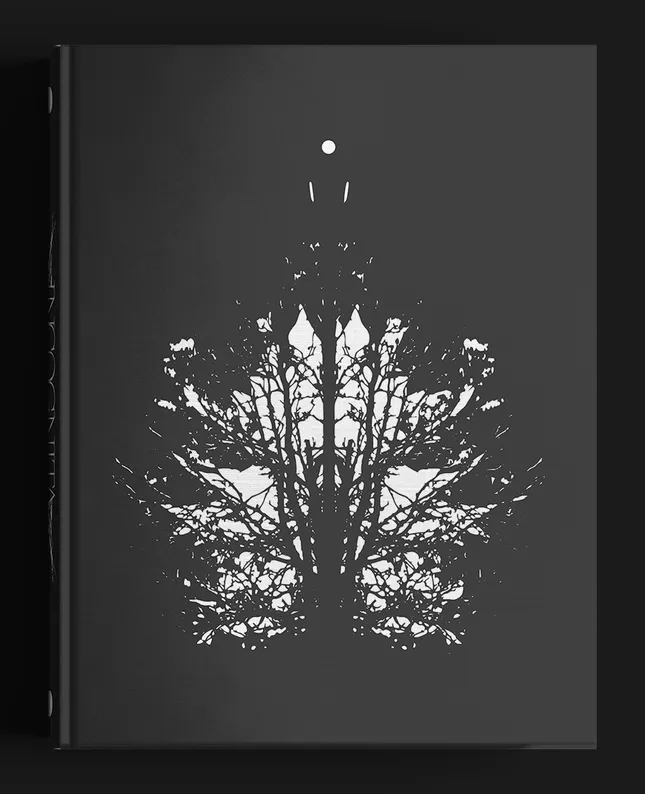 Book Cover and Layout: Incognita by Liesel Schwarz