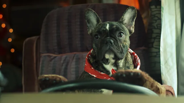 Death Road to Canada | Goodboy Max