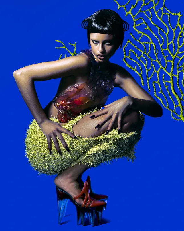 Project image