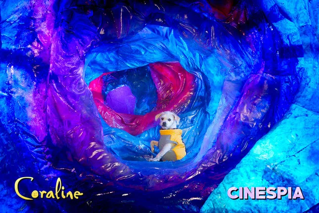 Coraline Photobooth for Cinespia