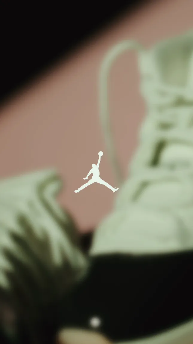 Jordan 11 X Sneaky Leak