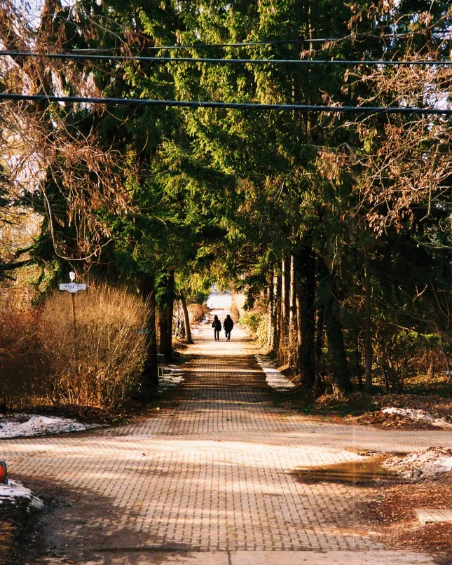 35mm Photography: Toronto