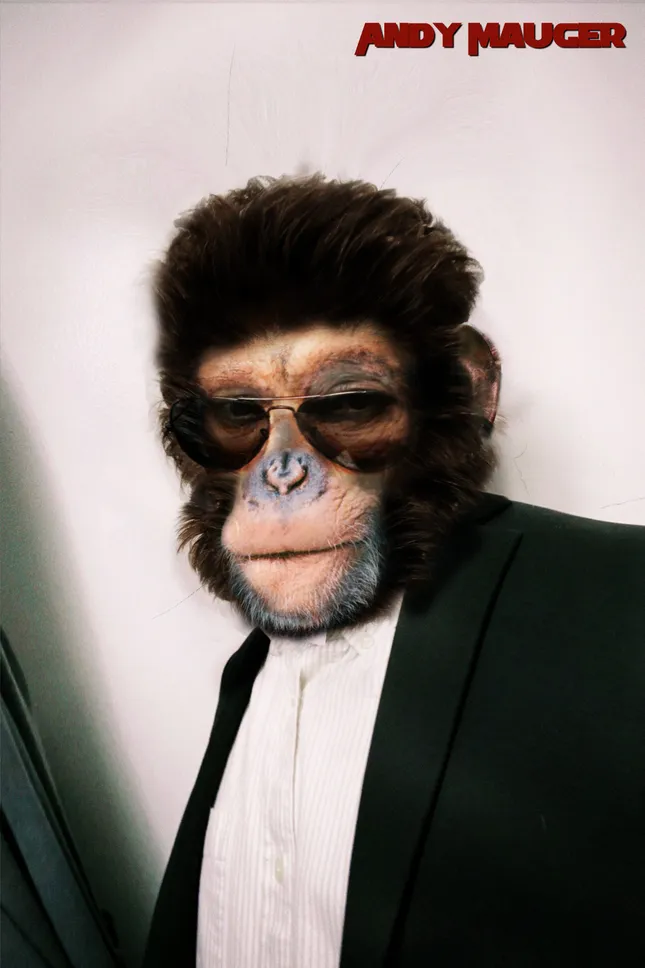Chimp Portrait