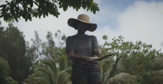Hawai'i Documentaries