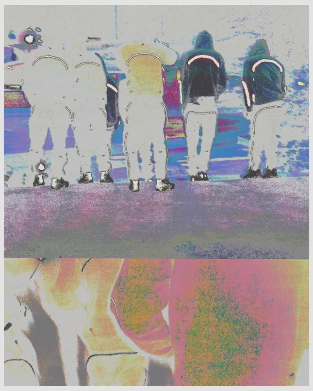 Project image