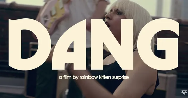 "DANG!" Rainbow Kitten Suprise