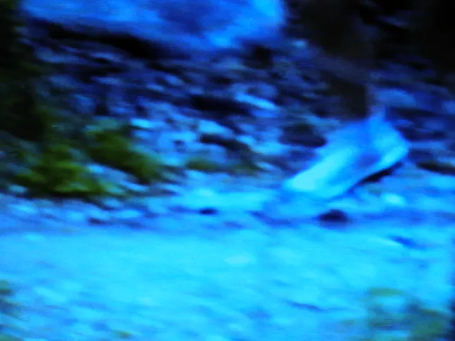 Arcteryx run and gun